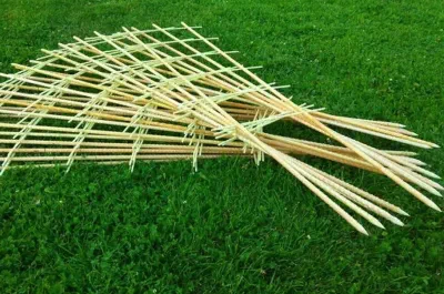 Plant trellises