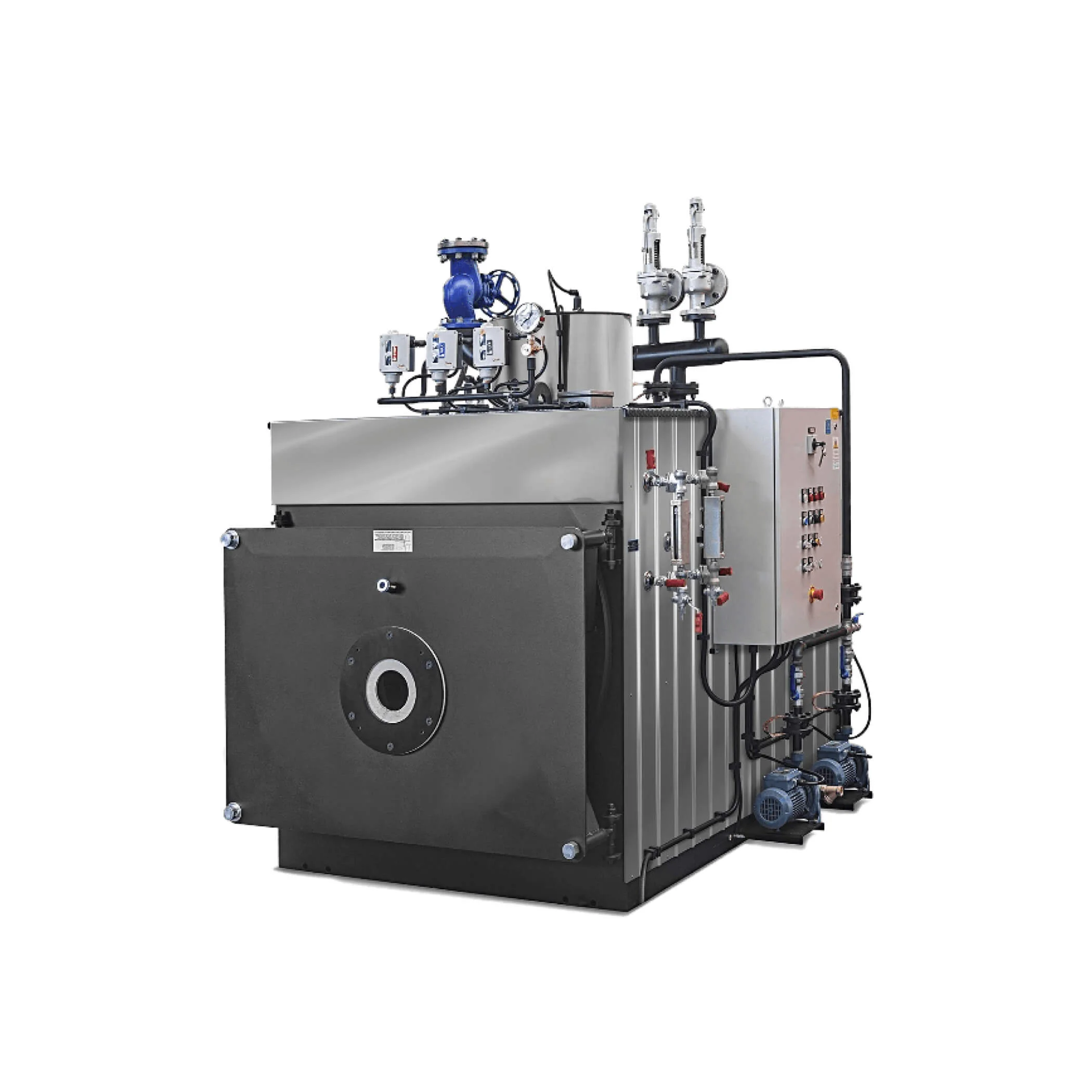 BX Steam Boilers