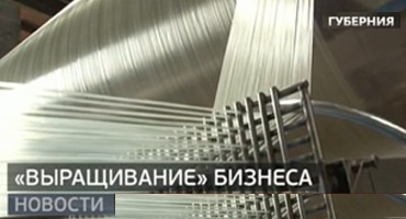 Government Support for Innovative Business